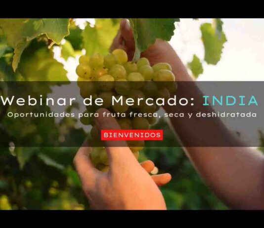 Más de 100 de productores participan en webinar que explora oportunidades para la fruta chilena en India