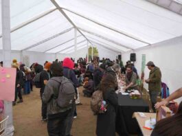 Masiva convocatoria al primer Festival Fungi de Talca