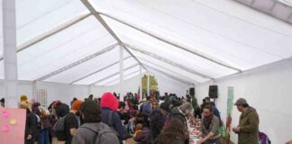 Masiva convocatoria al primer Festival Fungi de Talca