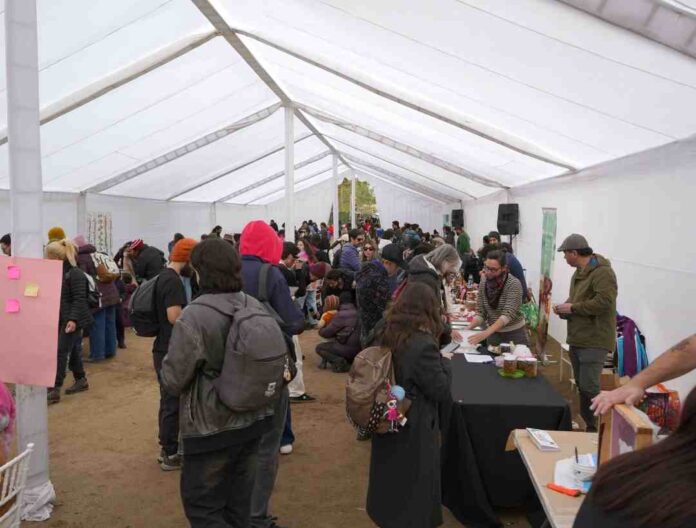 Masiva convocatoria al primer Festival Fungi de Talca