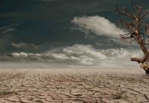 Menos impacto, más futuro: El cuidado del planeta empieza en casa