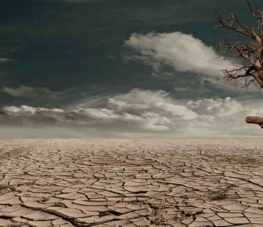 Menos impacto, más futuro: El cuidado del planeta empieza en casa