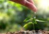 Mes del Medioambiente: Valmet avanza hacia la carbono Neutralidad con su agenda 360ª