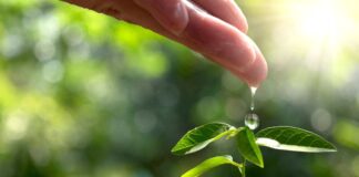Mes del Medioambiente: Valmet avanza hacia la carbono Neutralidad con su agenda 360ª