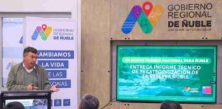 Ministerio de Agricultura entregó informe técnico para la creación del primer Parque Nacional de la región de Ñuble