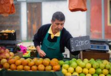 Ministro Valenzuela destaca rol de las ferias libres como pilar clave para la alimentación de las familias chilenas