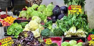 Ministro Valenzuela visita la Vega Central y destaca baja en papas, tomates, limones y kiwis