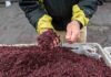 Ñuble impulsa la sostenibilidad: Universidad y sector público colaboran para transformar residuos vitivinícolas en oportunidades productivas