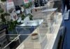 “Nuevas proteínas” redefinen la industria alimentaria
