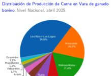 Nuevo régimen tributario para feriantes en Chile