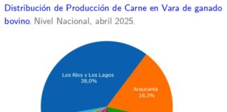 Nuevo régimen tributario para feriantes en Chile