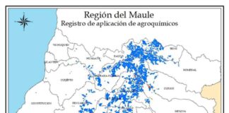 Odepa y Ciren integran nuevo módulo ambiental para identificar las nuevas necesidades del sector frutícola
