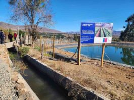 Pequeña agricultora de Illapel implementa obra de acumulación bonificada por la Ley de Riego para enfrentar la crisis hídrica