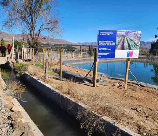 Pequeña agricultora de Illapel implementa obra de acumulación bonificada por la Ley de Riego para enfrentar la crisis hídrica