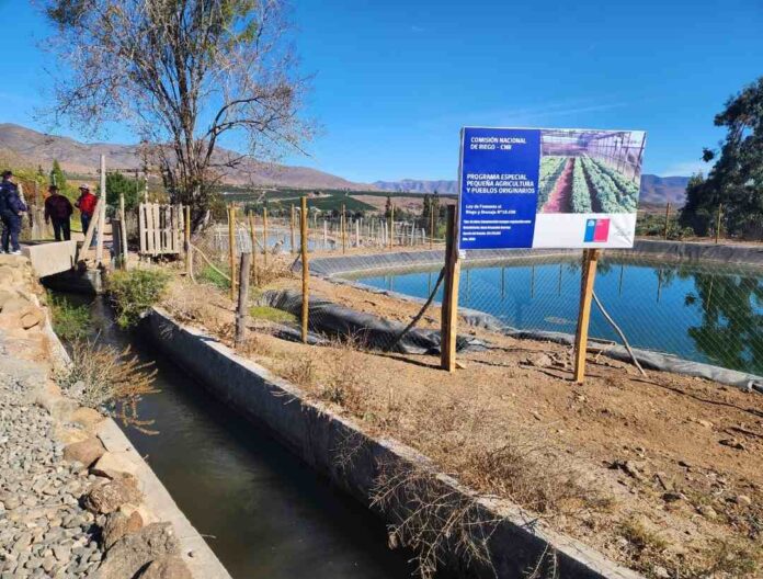 Pequeña agricultora de Illapel implementa obra de acumulación bonificada por la Ley de Riego para enfrentar la crisis hídrica