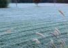Plan Invierno 2025: Minagri refuerza medidas para proteger al sector agrícola frente a heladas, lluvias e inundaciones