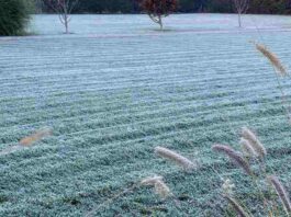 Plan Invierno 2025: Minagri refuerza medidas para proteger al sector agrícola frente a heladas, lluvias e inundaciones