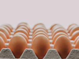 ¿Por qué subió el precio de los huevos durante mayo? Experto explica