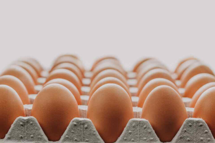 ¿Por qué subió el precio de los huevos durante mayo? Experto explica
