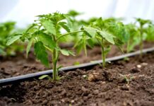 Prepara tu sistema de riego Claves para aprovechar el invierno de forma inteligente