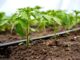 Prepara tu sistema de riego Claves para aprovechar el invierno de forma inteligente