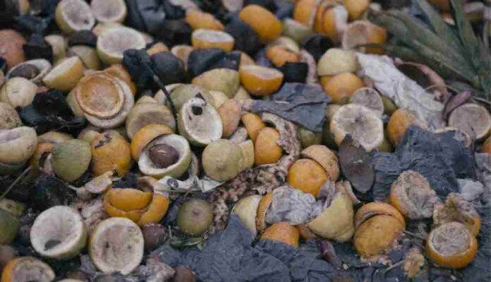Producción alimentaria y agua:El despropósito del desperdicio de alimentos