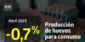 Producción de huevos de consumo presentó una disminución interanual de 0,7% en abril de 2025