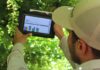 Productores de uva de mesa fortalecen capacidades en uso de sensores de suelo