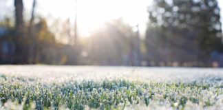 Proyecciones de invierno 2025 en Chile: lluvias intensas, heladas y desafíos para el agro