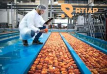 RTIAP: Liderando la Calidad Poscosecha del Agro 4.0 con Monitoreo Inteligente y Conexión Directa con la Industria
