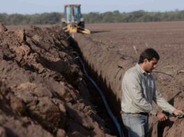 Rivulis lanza recurso educativo para ayudar a los agricultores a elegir el sistema de riego adecuado para cultivos en hileras Rivulis lanza recurso educativo para ayudar a los agricultores a elegir el sistema de riego adecuado para cultivos en hileras