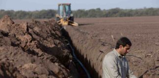 Rivulis lanza recurso educativo para ayudar a los agricultores a elegir el sistema de riego adecuado para cultivos en hileras