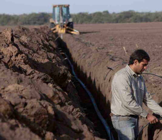 Rivulis lanza recurso educativo para ayudar a los agricultores a elegir el sistema de riego adecuado para cultivos en hileras