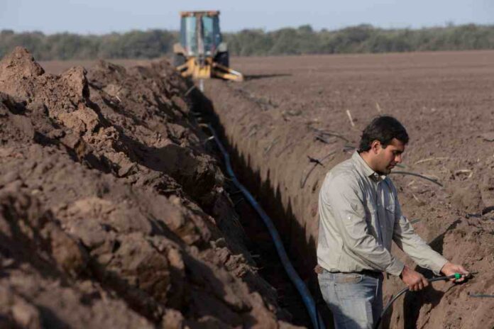 Rivulis lanza recurso educativo para ayudar a los agricultores a elegir el sistema de riego adecuado para cultivos en hileras
