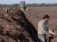 Rivulis lanza recurso educativo para ayudar a los agricultores a elegir el sistema de riego adecuado para cultivos en hileras