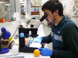 SAG moderniza infraestructura sanitaria y crea unidad de inteligencia con apoyo del BID