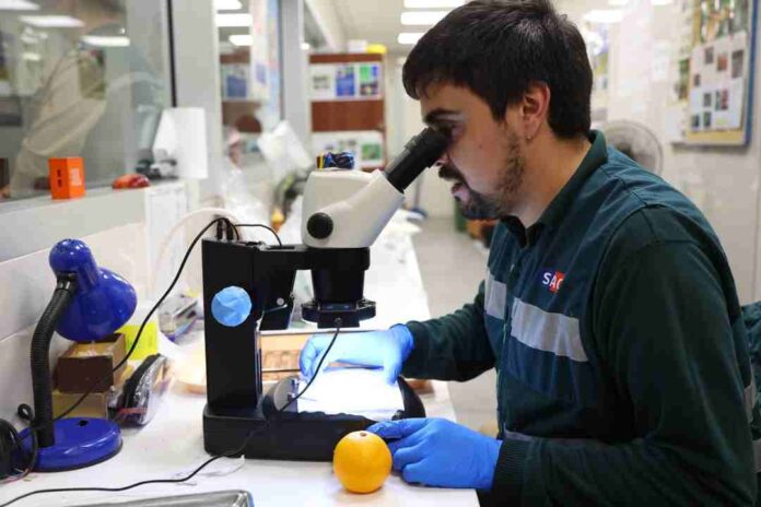 SAG moderniza infraestructura sanitaria y crea unidad de inteligencia con apoyo del BID