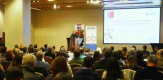 SAG y AB Chile firman alianza para el desarrollo de industria de alimentos para mascotas en Chile 