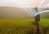 Se lanza la 5ta edición del Desafío Conectagro: innovación para una agricultura más sustentable