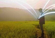 Se lanza la 5ta edición del Desafío Conectagro: innovación para una agricultura más sustentable
