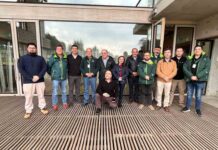 Sector forestal evalúa positivamente la NIMF N°15 a 20 años de su implementación