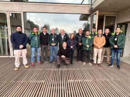 Sector forestal evalúa positivamente la NIMF N°15 a 20 años de su implementación