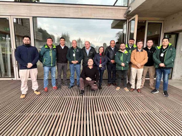 Sector forestal evalúa positivamente la NIMF N°15 a 20 años de su implementación