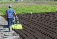 Seminario abordará proyección de la temporada invernal para el desarrollo de la agricultura