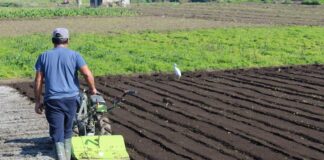 Seminario abordará proyección de la temporada invernal para el desarrollo de la agricultura