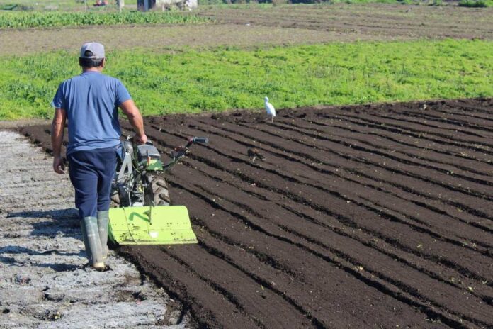 Seminario abordará proyección de la temporada invernal para el desarrollo de la agricultura
