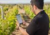 Startup Kilimo en el Día del Medio Ambiente