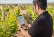 Startup Kilimo en el Día del Medio Ambiente