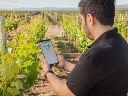 Startup Kilimo en el Día del Medio Ambiente
