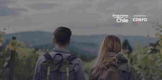  Viñas chilenas ofrecen panoramas únicos para disfrutar en familia